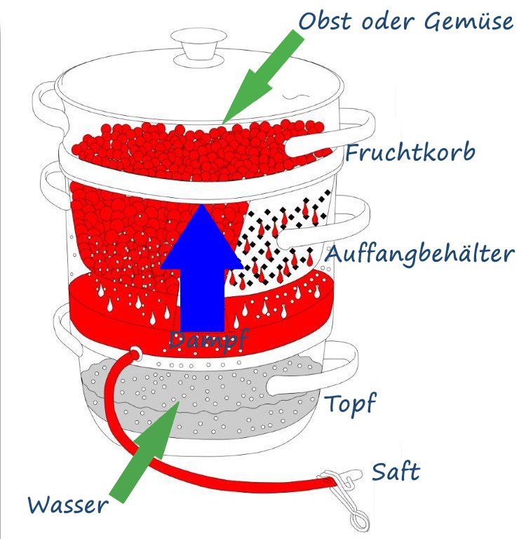 Dampfentsafter Vergleich - Die besten Entsafter hier › TOP finders